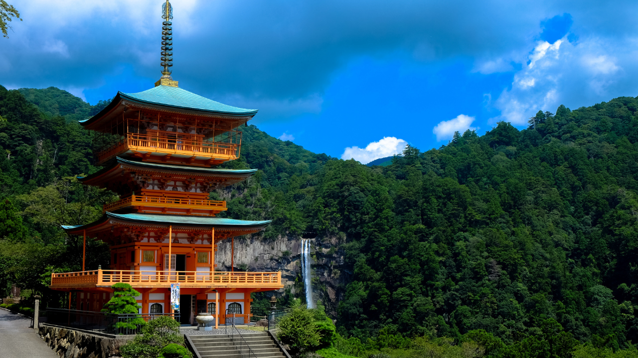 Tourism & Hospitality